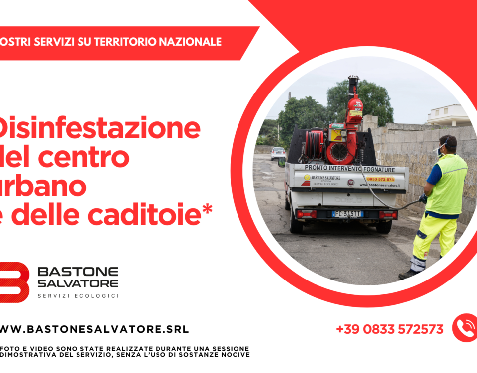 disinfestazione centro urbano bastone salvatore srl